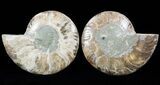 Cut/Polished Ammonite Pair - Agatized #29721-1